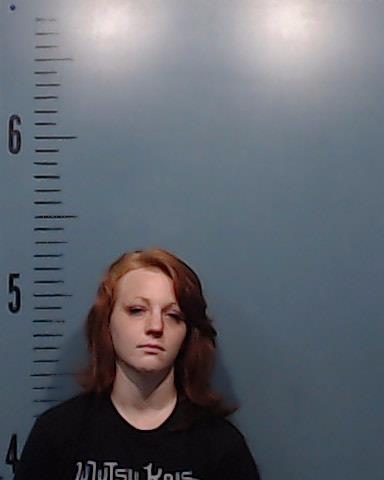 Allen, Elizabeth Anne booking photo