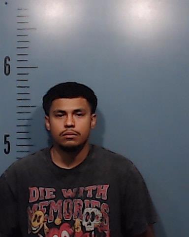 De la Cerda, Ariel booking photo