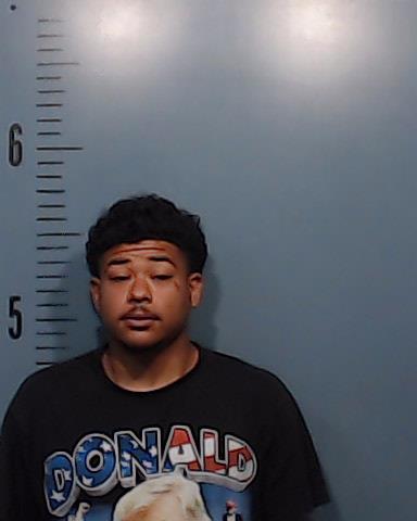 Trevino-Mckoy, Jalen Nathaniel booking photo