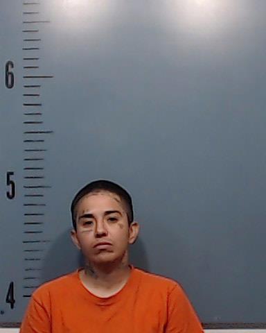 Garcia, Adriana Josefa booking photo