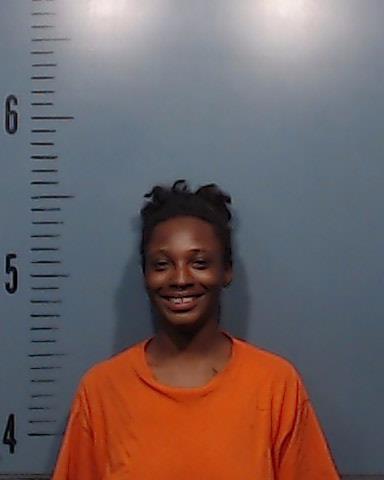 Word, Geralyn Laniece booking photo