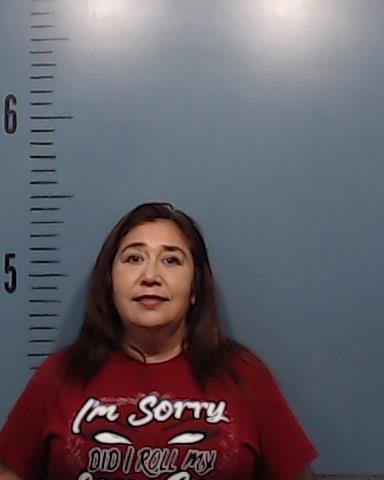 Ramirez, Elida Mendez booking photo
