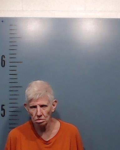 Lawson, Vickie Kay arrested by Taylor County SO/PD