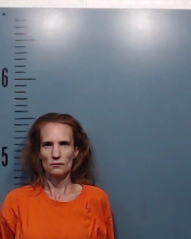 Young, Alica Darlene booking photo