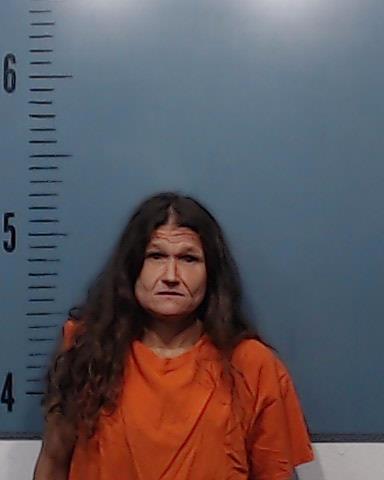 Hoylman, Crystal Lee booking photo