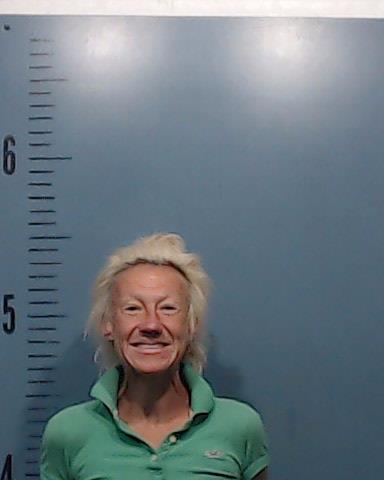 Denison, Jessica Lynn booking photo