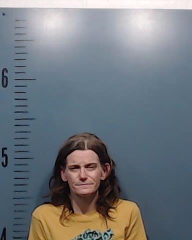 Little, Aime Janette arrested by Taylor County SO/PD