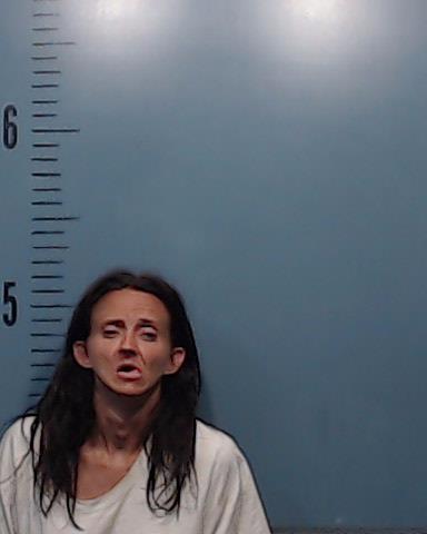 Weins, Kimberly Renee Charm arrested by Taylor County SO/PD
