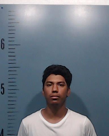 Santizo-Avila, Alexis Enrique booking photo