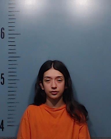 Chavira, Sabrina Nicole booking photo