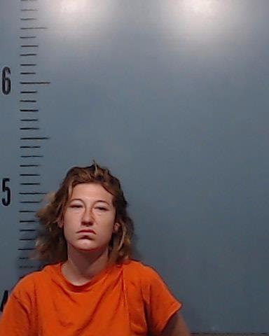 Hudson, Victoria Lynn booking photo