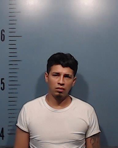 Flores, Robert, Jr. booking photo