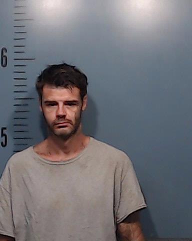 Veach, Shelby Lynn booking photo