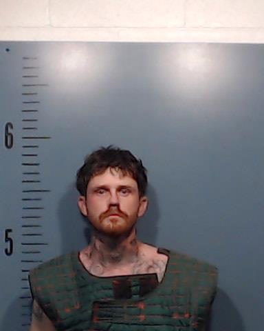 Pickwell, Aaron John booking photo