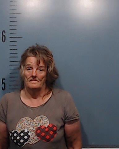 Fulton, Lisa Gail booking photo