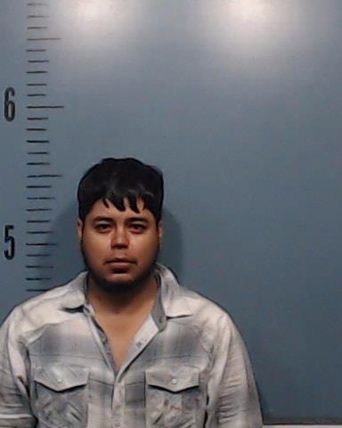 Lara Adame, Humberto Junnior booking photo