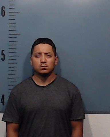 Hernandez, Roman Manuel booking photo