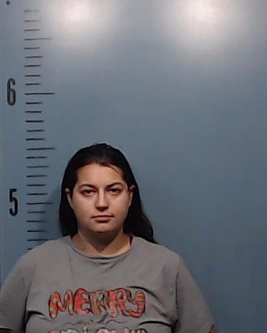 Ochoa, Shelby Marie arrested by Taylor County SO/PD