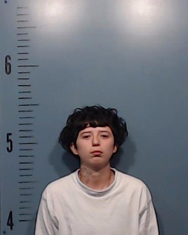 Moreno, Chelsey Jai booking photo