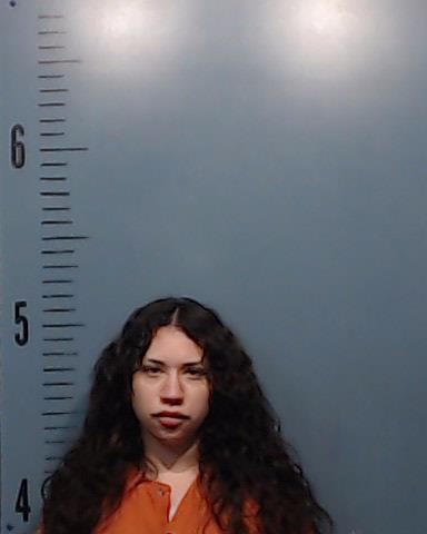 Flores, Analicia booking photo