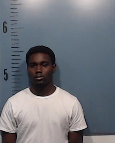 Harden-Turner, Zayeshone Keytrell arrested by Taylor County SO/PD