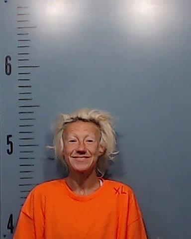 Denison, Jessica Lynn booking photo
