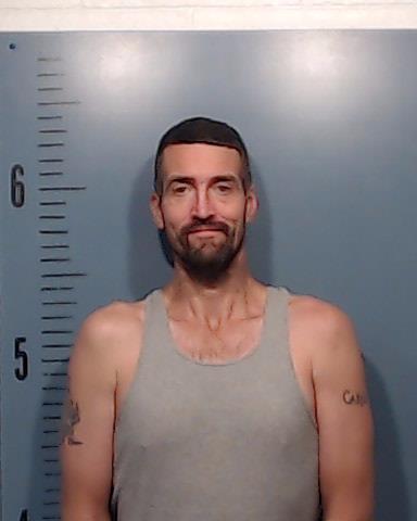 Johnson, William Matthew arrested by Taylor County SO/PD