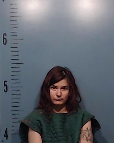 Shroyer, Corissa Jane booking photo