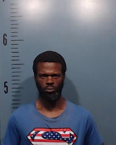 Zahir, Muhammad Sadiqi booking photo