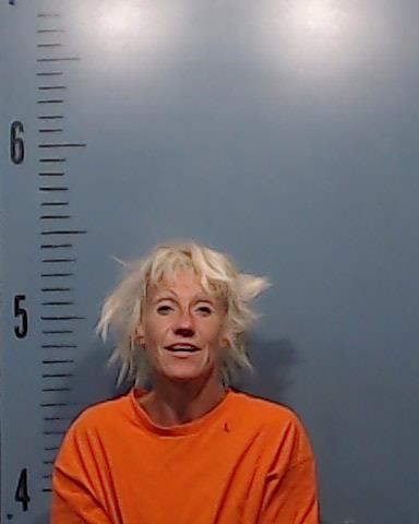 Denison, Jessica Lynn booking photo