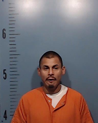 Gonzales, Michael Anthony arrested by Taylor County SO/PD