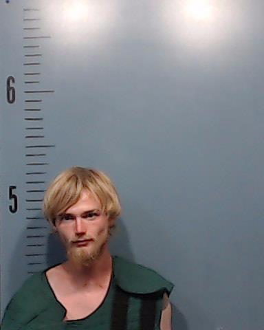 Ramey, Dylon Cole booking photo