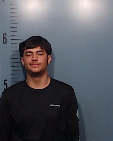 Alaniz-Aguilar, Steven booking photo