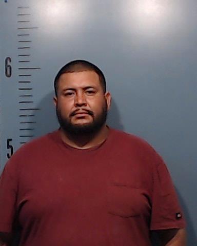 Alaniz-Olvera, Alejandro booking photo
