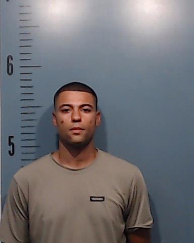 Light, Terry Lavone Harris booking photo