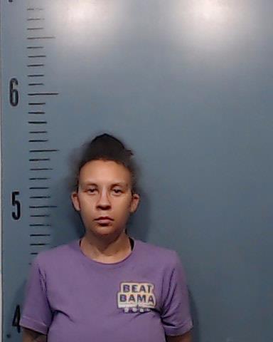 Sousa, Rebecca A booking photo