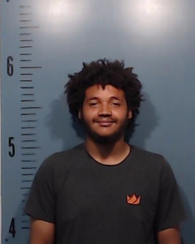 Reed, DaMareyon Lewis booking photo