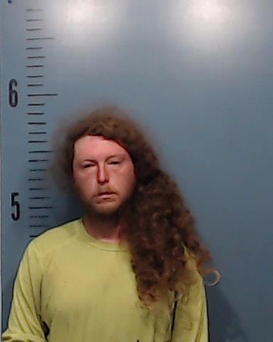 Collier, Alexander Jerome arrested by Taylor County SO/PD
