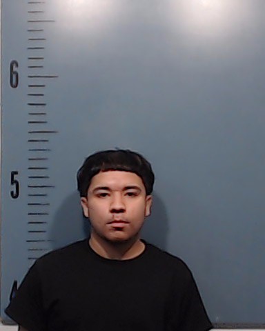 Limones, Joel booking photo