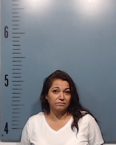Mendoza, Diana Alicia booking photo