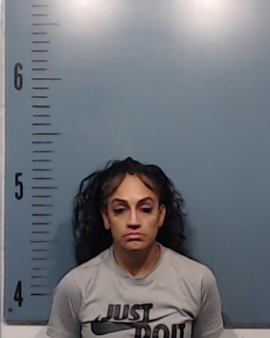 Galvan, Jennifer Lara booking photo