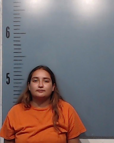 Guadalcazar, Juliana Reagan arrested by Taylor County SO/PD