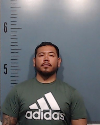 Candia Castillo, Jordy Daniel booking photo