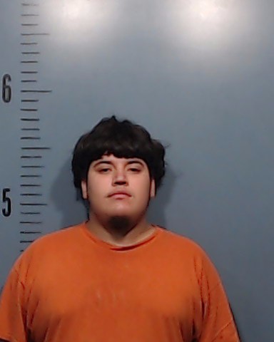Guerra, Jose Luis, Jr. booking photo