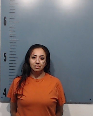 Lee, Amelia booking photo