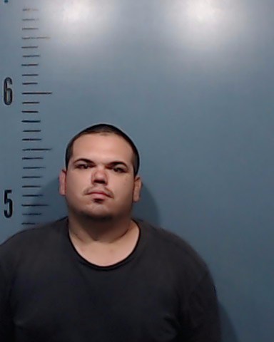 Land, David Michael booking photo