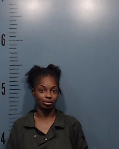 Mays, Shaquetta Janay arrested by Taylor County SO/PD