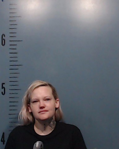 Garren, Alexis Louise booking photo