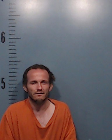 Flannagan, Brian Lee booking photo