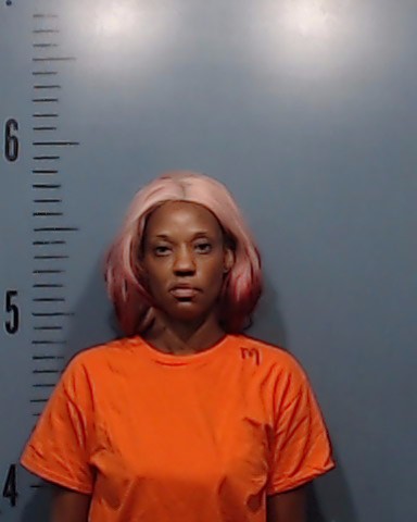Hollis, Willandra Shevette booking photo